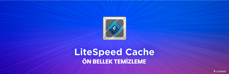 LiteSpeed Cache Ön Bellek Nasıl Temizlenir